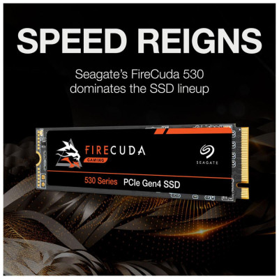 Seagate FireCuda 530 2TB (ZP2000GM3A013)