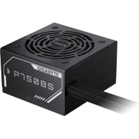 GIGABYTE P750BS (GP-P750BS)