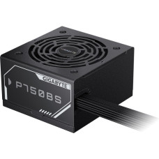 GIGABYTE P750BS (GP-P750BS)