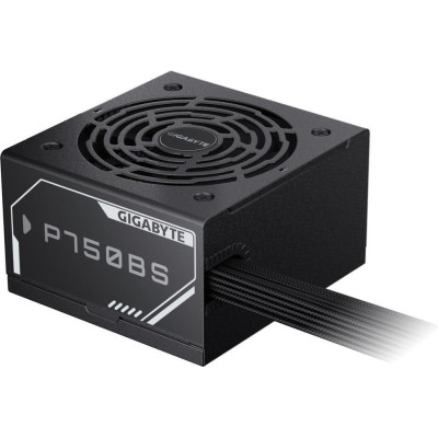 GIGABYTE P750BS (GP-P750BS)