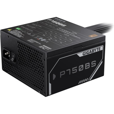 GIGABYTE P750BS (GP-P750BS)