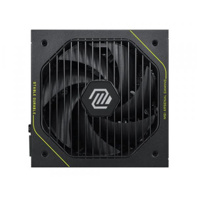 MSI MAG PLS A1000PLS PCIE5