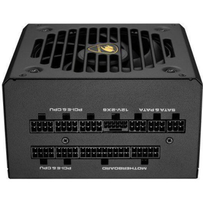 Cougar GEX Pro 850