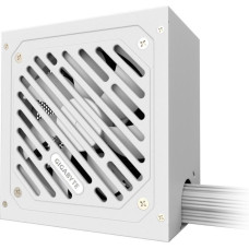 GIGABYTE P650SS ICE (GP-P650SS ICE)