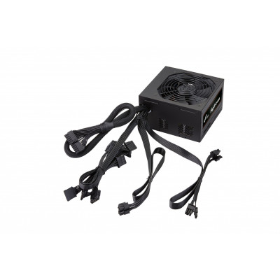 FSP Hydro Pro 600W (HP2-600)