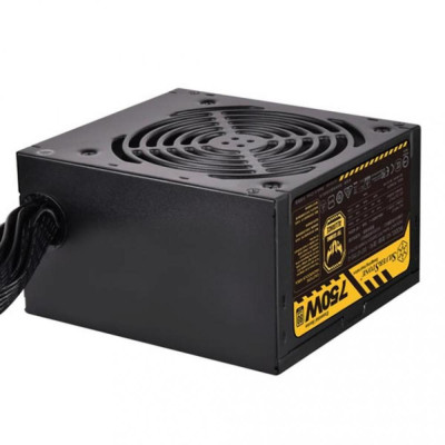 Silverstone Essential Gold ET750-G 750W (SST-ET750-G)