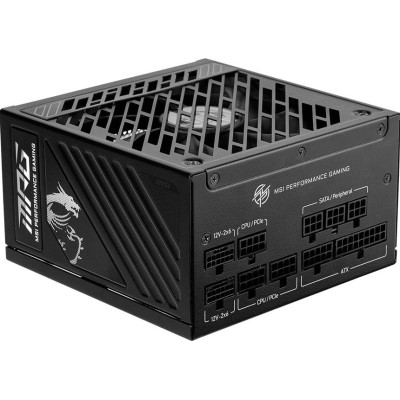 MSI MPG A1000GS PCIE5 | Power Supply