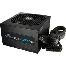 FSP Hydro GSM Lite PRO 550W (HGS-550M)