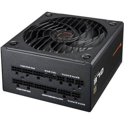 Cougar GLE 1000 (31GF010001P01)