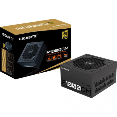 GIGABYTE P1000GM