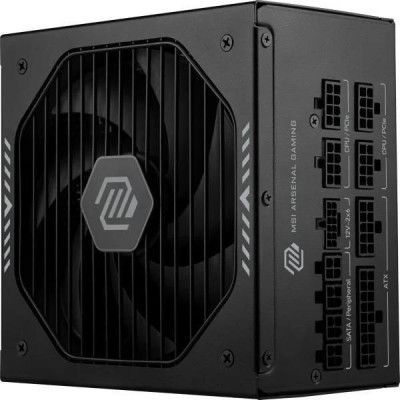 MSI MAG A1000GLS PCIE5