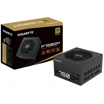 GIGABYTE 750W (P750GM)