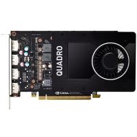 PNY NVIDIA Quadro P2000 (VCQP2000-PB)
