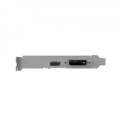 Palit GeForce GT 1030 (NE5103000646-1080F)