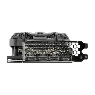 Gainward GeForce RTX 3090 Phantom GS (NED3090H19SB-1021P)