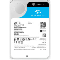 Seagate SkyHawk AI 24TB (ST24000VE002)