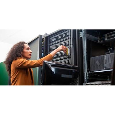 WD Gold 8 TB (WD8005FRYZ)