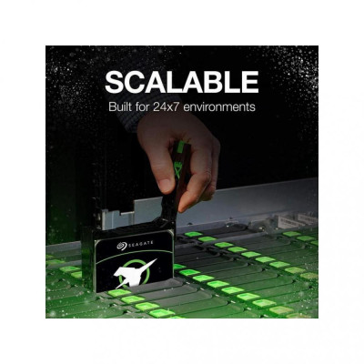 Seagate Exos X16 10 TB (ST10000NM001G)