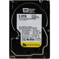 WD WD3001FYYG