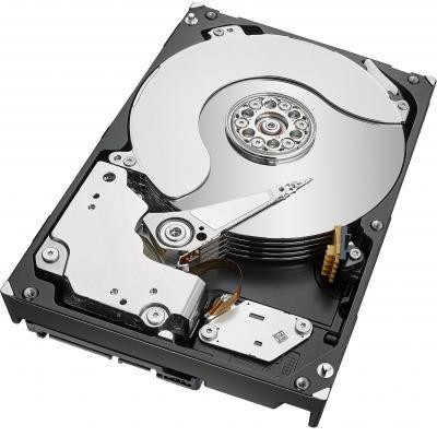 Seagate IronWolf 8 TB (ST8000VN004)