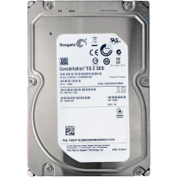 Seagate ST33000651NS