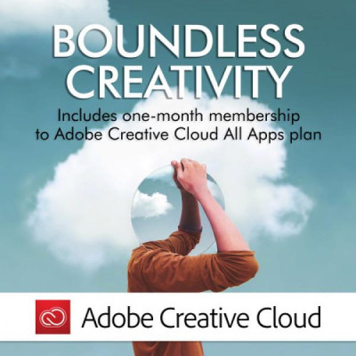 LaCie 2big RAID 8 TB (STHJ8000800)