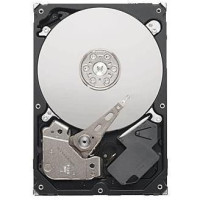 Seagate Video 3.5 HDD ST3500312CS