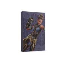 Seagate 2TB Shuri FireCuda Gaming Drive (STLX2000402)