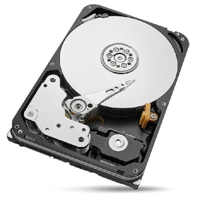 Seagate IronWolf Pro 20 TB (ST20000NT001)