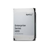 Synology HAS5310 20 TB (HAS5310-20T)