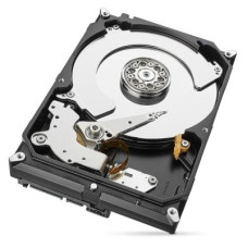 Seagate SkyHawk AI 12 TB (ST12000VE0008)