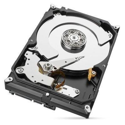Seagate SkyHawk AI 12 TB (ST12000VE0008)
