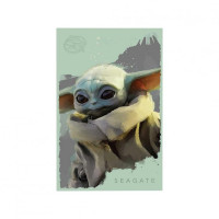 Seagate 2TB Grogu Drive Special Edition STKL2000404