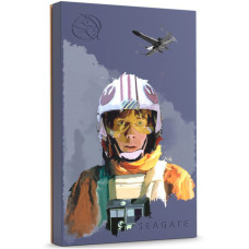 Seagate Luke Skywalker Special Edition FireCuda 2 TB (STKL2000412)