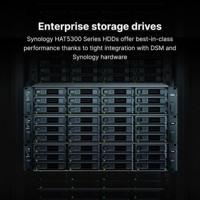 Synology HAT5300 20 TB (HAT5310-20T)