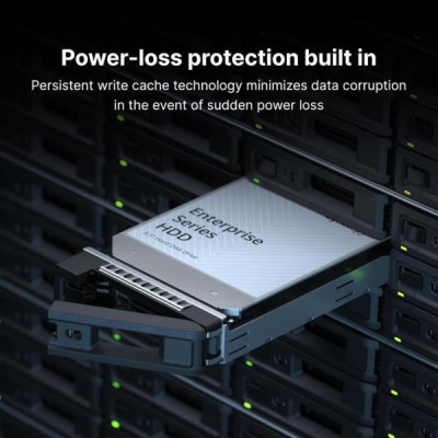 Synology HAT5300 20 TB (HAT5310-20T)