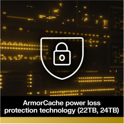WD Gold 6 TB (WD6004FRYZ)
