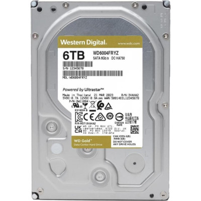 WD Gold 6 TB (WD6004FRYZ)