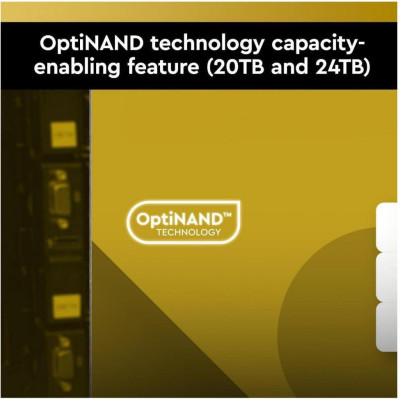 WD Gold 6 TB (WD6004FRYZ)