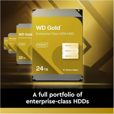 WD Gold 6 TB (WD6004FRYZ)