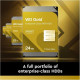 WD Gold 6 TB (WD6004FRYZ)