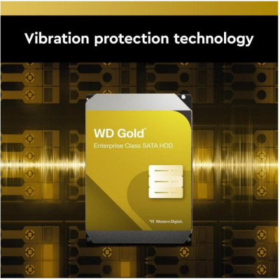 WD Gold 6 TB (WD6004FRYZ)