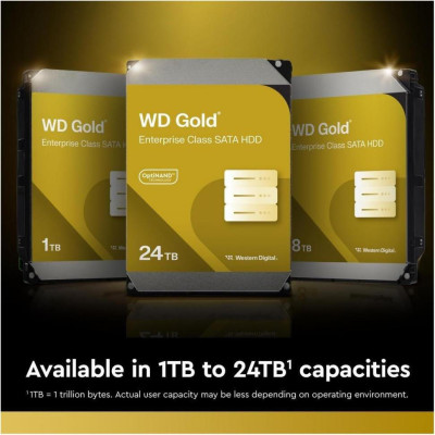 WD Gold 6 TB (WD6004FRYZ)