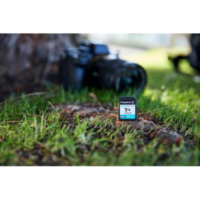 Kingston 64 GB SDXC Canvas Go! Plus UHS-I U3 V30 Class 10 (SDG4/64GB)