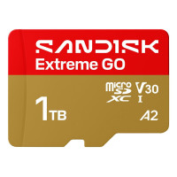SanDisk 1 TB SDXC Extreme GO (SDSQXGN-1T00-GN6MN)