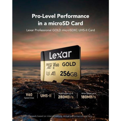 Lexar 256 GB microSDXC Professional Gold UHS-II U3 V60 A1 Class 10 (LMSGOLD256G-BNNNG)