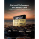 Lexar 256 GB microSDXC Professional Gold UHS-II U3 V60 A1 Class 10 (LMSGOLD256G-BNNNG)