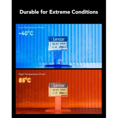 Lexar 256 GB microSDXC Professional Gold UHS-II U3 V60 A1 Class 10 (LMSGOLD256G-BNNNG)