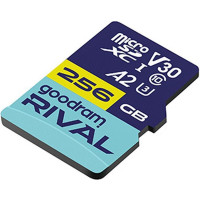 GOODRAM 256 GB microSDXC Rival (GGSM2AA-2560R12)