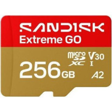 SanDisk 256 GB microSDXC Extreme Go (SDSQXGN-256G-GN6MN)